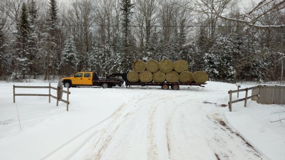 IMG_20170328_182148_1495635173