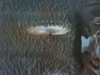 IMG00355-20100403-1228