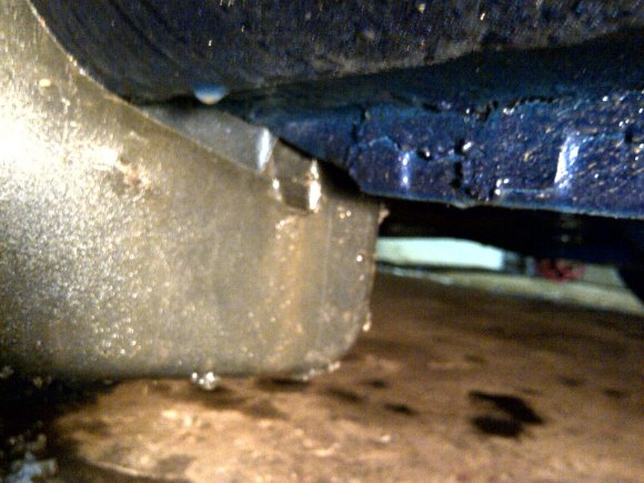 IMG-20120315-00552