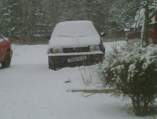 IMG00164-20110107-1438