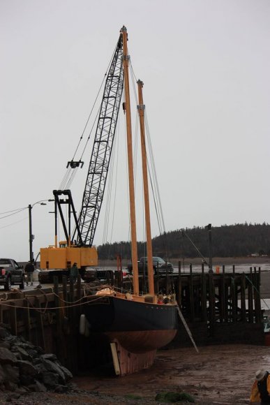 12356714_1168065329889181_760125917522695264_o