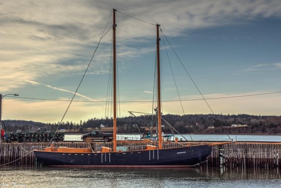 12362852_1659834120900764_7891063399535743958_o