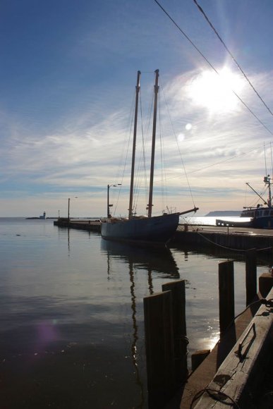 12466062_1182560578439656_5164525250370505655_o (1)