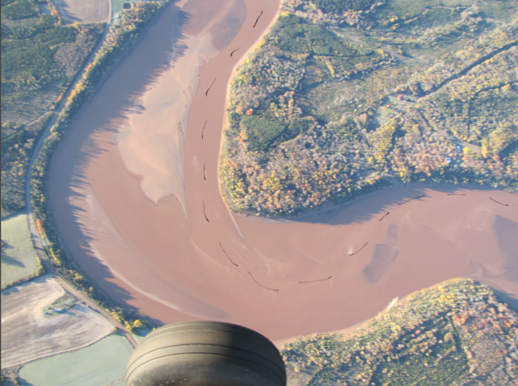 River-Track-sample-2