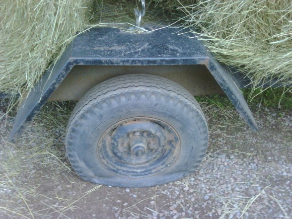 IMG00049-20110912-1833