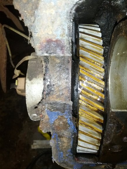 IMG_20121230_145319-1603516778