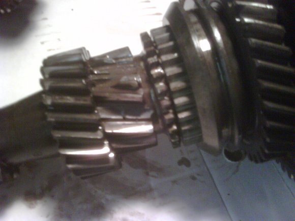 IMG00156-20101106-1341