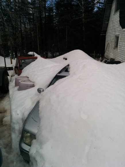 IMG_20150411_120806nopm